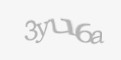 Защитный код