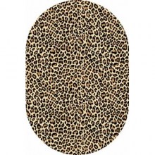 000040402-500x500