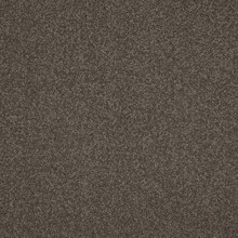 2cffb00e6ab5039b2dc879d7b0984f145