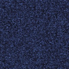 3bf5cc5e535b6cc9e07ffcc182dca490