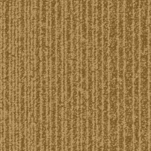 4b5079a40b24e4039248fa45c4eda964