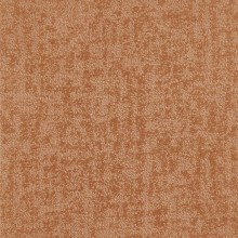 5c1dcc925cdf6adee9e2b3958e1e189c
