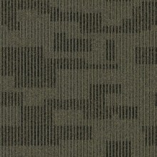 6601-500x5005