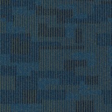 6606-500x5009