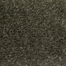 6fd973a82588c5713460c26ea4f04002