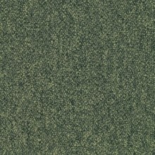 7283-500x500