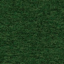 7876-500x5009