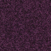 b590d389f994f51538410e13caa76eca