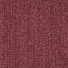e705516681cda088c34cb1babd9406ec