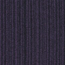 essence_stripe_3822-500x500