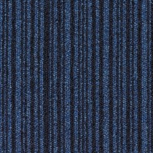 essence_stripe_8413-500x500