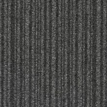 essence_stripe_9501-500x500