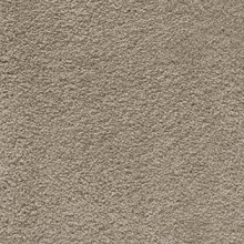 softissimo39-19-07-31-13_05