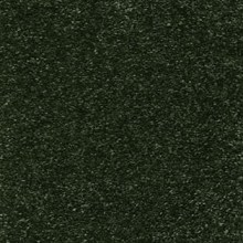 trillion24-19-07-26-10_57